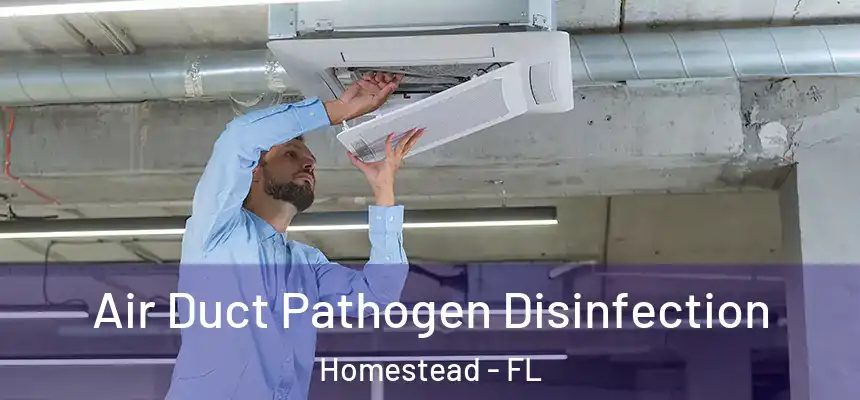 Air Duct Pathogen Disinfection Homestead - FL