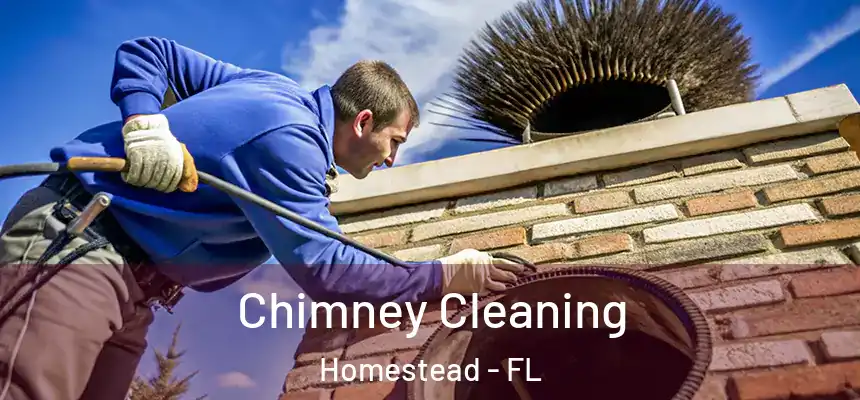 Chimney Cleaning Homestead - FL