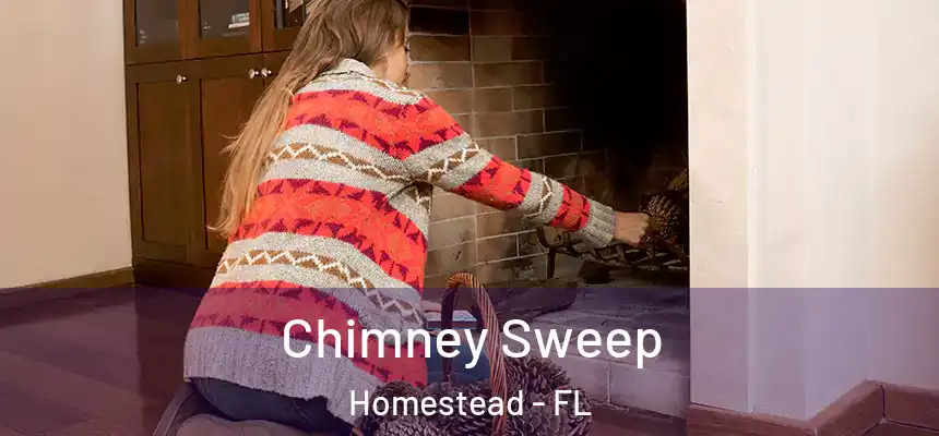  Chimney Sweep Homestead - FL