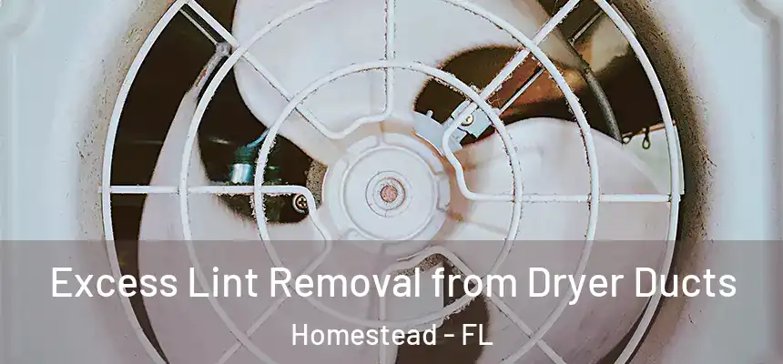  Excess Lint Removal from Dryer Ducts Homestead - FL