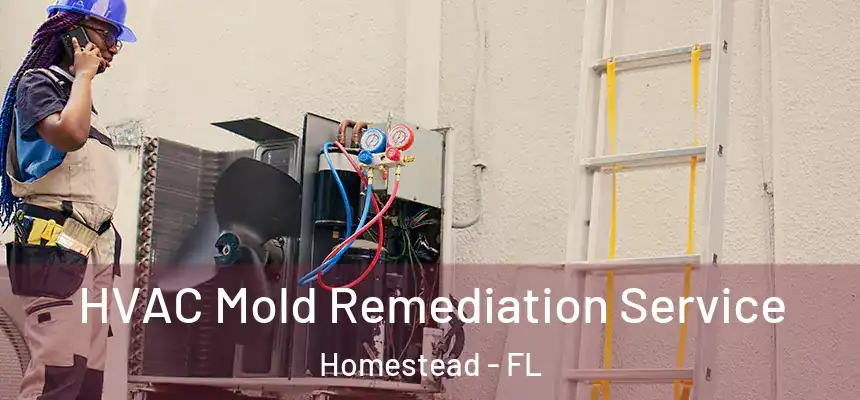  HVAC Mold Remediation Service Homestead - FL