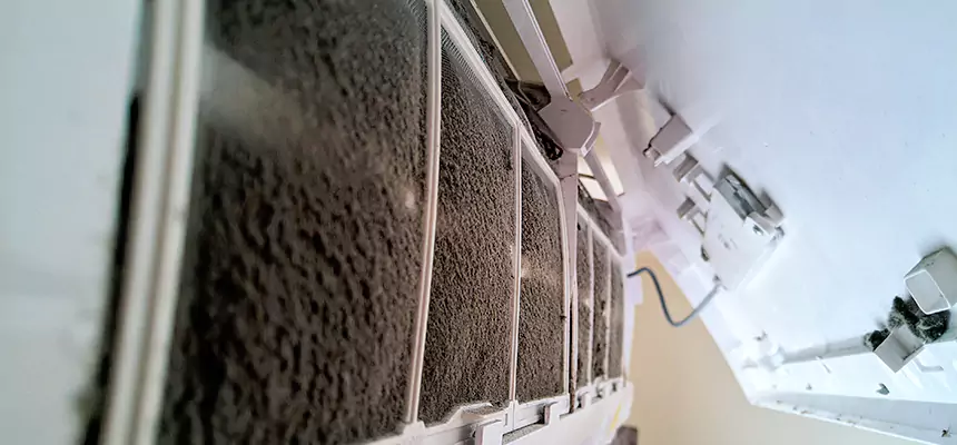 Preventive Air Duct Bacteria Removal in Homestead