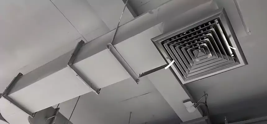 Restorative Allergy Relief Vent Cleaning – Coil, Blower & Housing Detail in Homestead