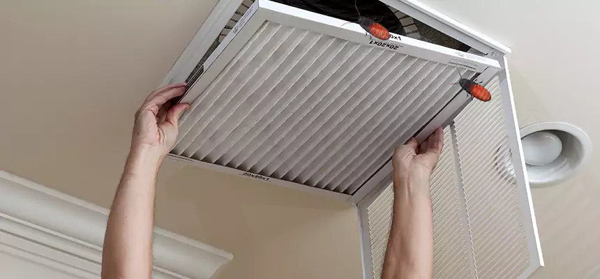 Our Insect Removal from Air Ducts Services in Homestead, FL