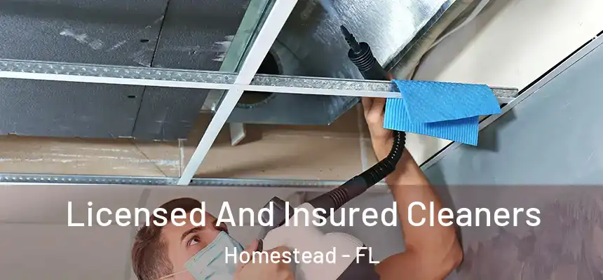 Licensed And Insured Cleaners Homestead - FL