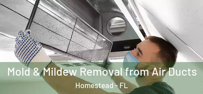 Mold & Mildew Removal from Air Ducts Homestead - FL