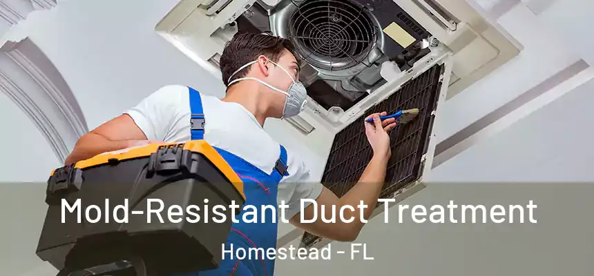 Mold-Resistant Duct Treatment Homestead - FL