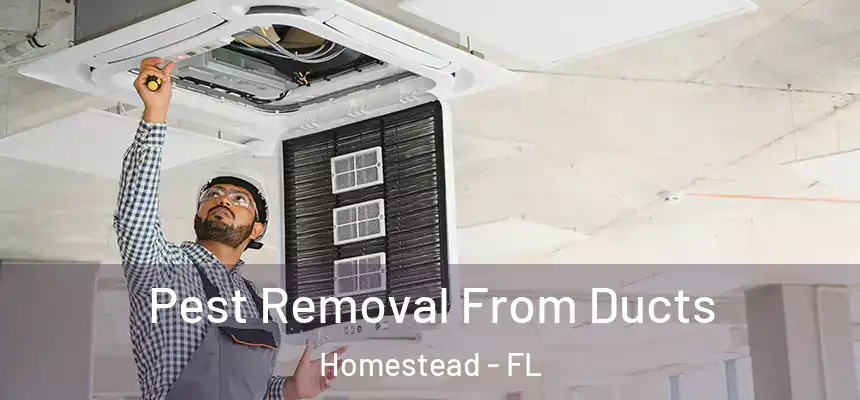 Pest Removal From Ducts Homestead - FL
