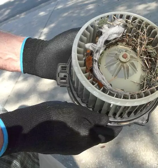 About Air Duct Mice Removal in Homestead, FL