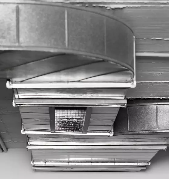 Professional Air Duct Pet Hair Removal in Homestead, FL