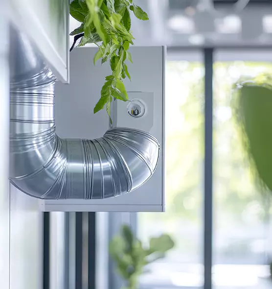 Professional Eco-Safe Dryer Vent Cleaning in Homestead, FL