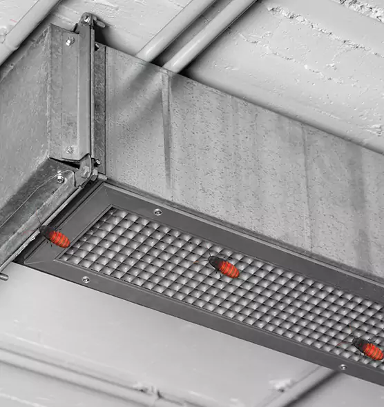 Affordable Insect Removal from Air Ducts in Homestead, FL