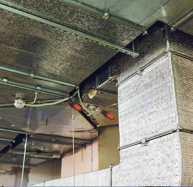 Why Homeowners & Businesses Trust Us in Homestead, FL?