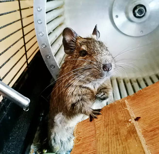 Why Homeowners & Businesses Trust Us Homestead, FL