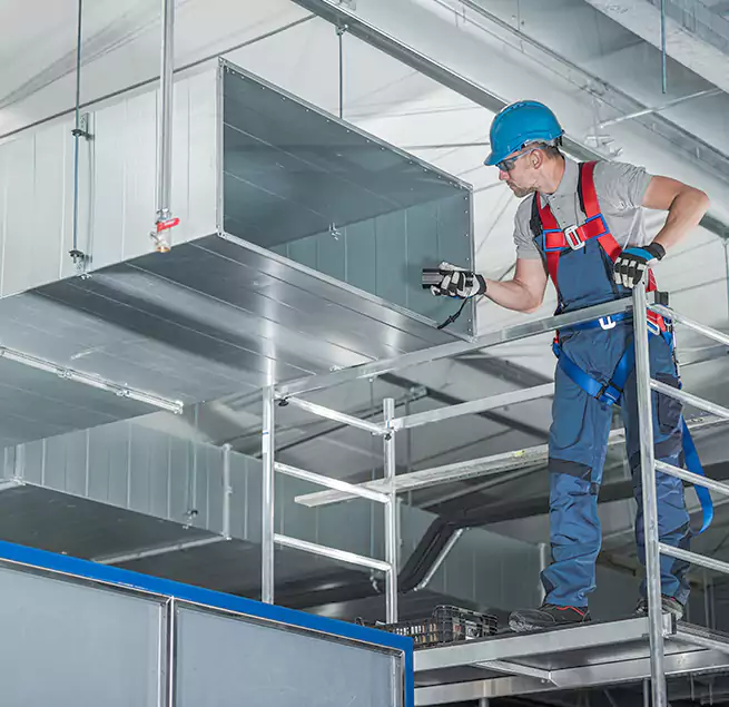 Why Homeowners & Businesses Trust Us in Homestead, FL?