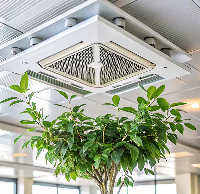 Why Homeowners & Businesses Trust Us in Homestead, FL?