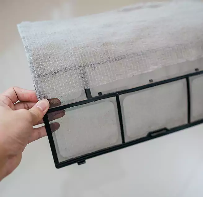 Why Homeowners & Businesses Trust Us in Homestead, FL?