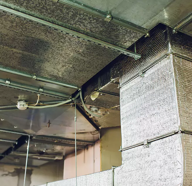 Why Homeowners & Businesses Trust Us in Homestead, FL?