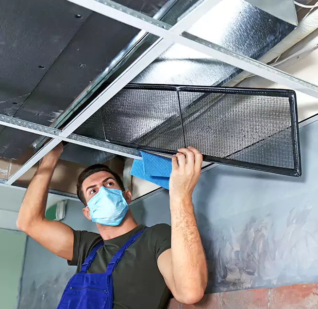 Why Homeowners Businesses Trust Us in Homestead, FL